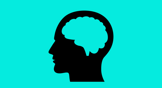 “迷你大脑”有助研发出新型镇痛药