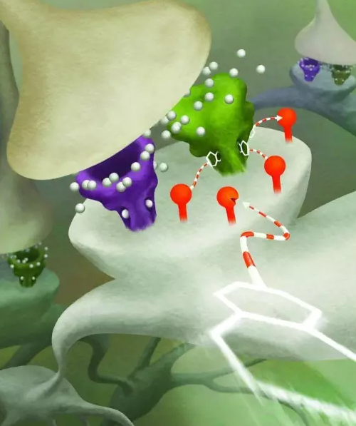 DART技术成为神经疾病研究的里程碑