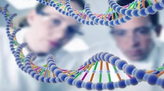 精准医疗产业发展迅猛:光谷高新园区掘金蓝海