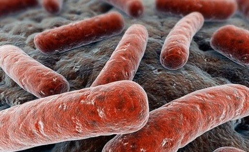 盘点近年来结核病领域的研究成果