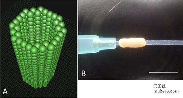 日本借助3D打印导管成功让老鼠坐骨神经再生