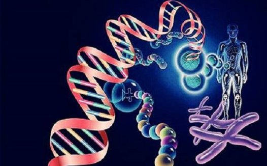 细看2017年全球十大突破性技术榜单之三大医疗科技