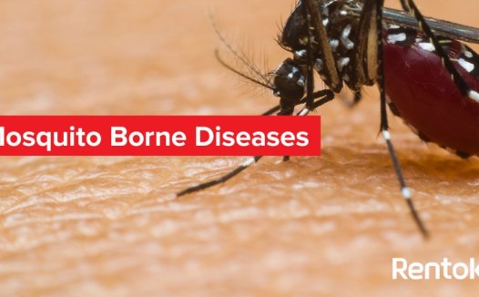 【前沿】这种疫苗或能抵御所有蚊媒疾病