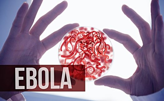 手掌大小的医疗设备能快速检测埃博拉病毒