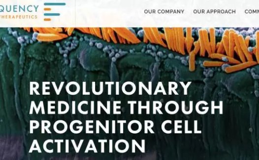 波士顿公司借助小分子治疗听力损失