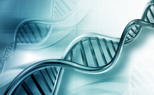 2022年全球NGS市场值将达124.5亿美元