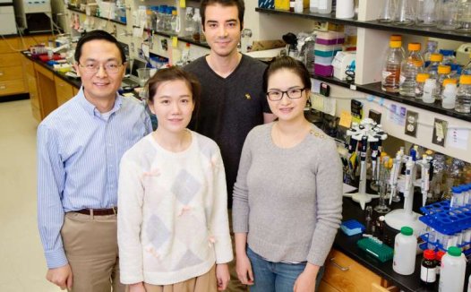 CRISPR研究团队发现药物开发宝藏