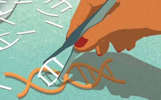 基因魔剪CRISPR/Cas9技术竟成“搅局者”?