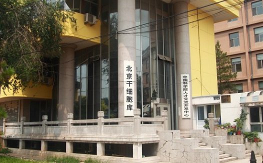 我国正式启动首批胚胎干细胞临床研究项目