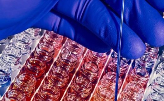 痴心妄想有章可循:细看硅谷追求永生的执念