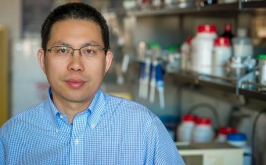 美国科学家为儿童开发出3D打印血管材料