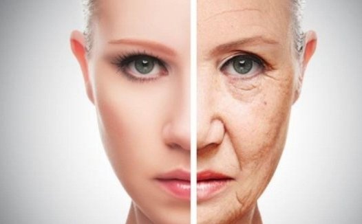 Nature：重磅级研究将开启人类长生不老的神话