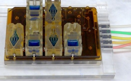 科学家借助机器人帮助女性试验药物