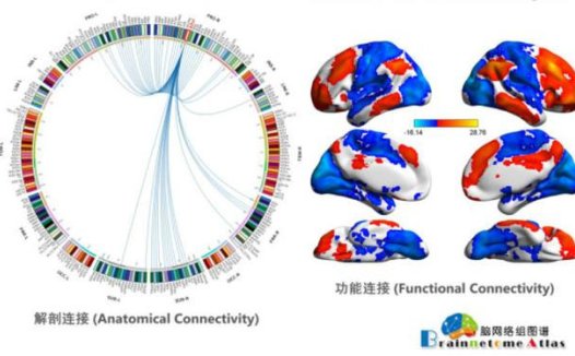精准康复云平台六六脑获A轮数百万美元融资