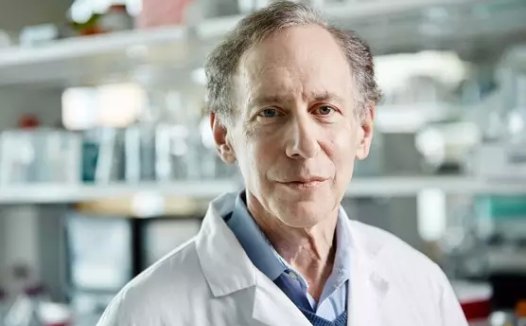 【前沿】挂上“小风筝”可促使癌细胞凋亡？