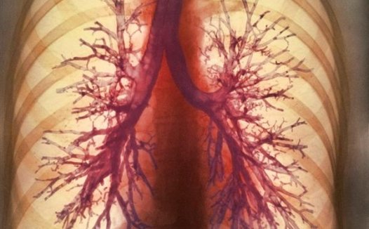 人工肺脏新设备可帮助驱动呼吸