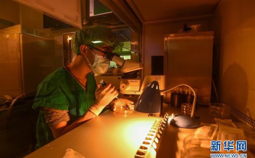 中国科学家首次用基因编辑修复基因缺陷胚胎