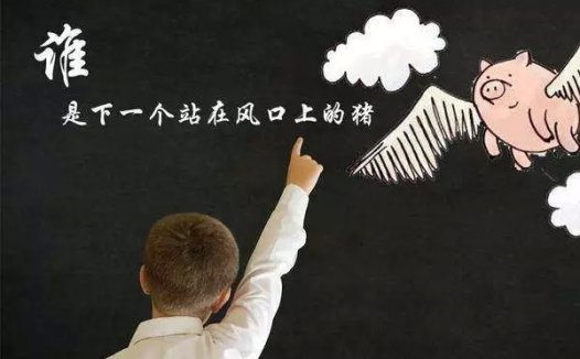 【视点】基因检测“这头猪”如何在风口翱翔？