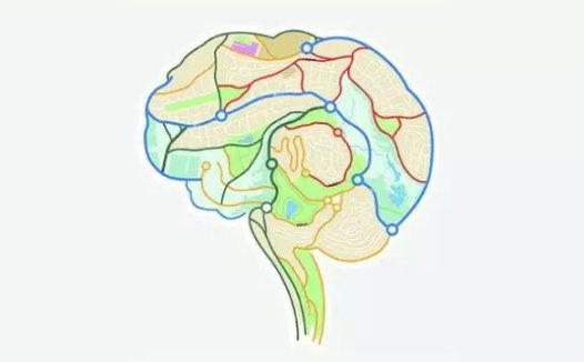 细看美国“脑科技”的起因与发展