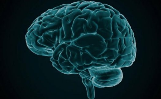 震惊:大脑图像一扫便知是否蓄意犯罪