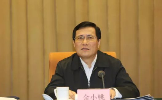 国家卫计委金小桃：医疗大数据为百姓带来健康红利