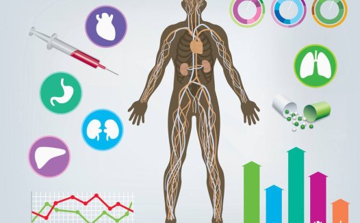 DNA条形码纳米颗粒可快速预测抗癌药物