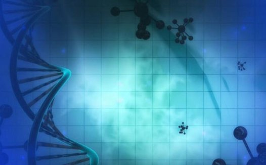 华大基因更新IPO招股书：2016年营收17.11亿元