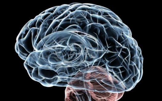 仿真大脑可阐明结节性硬化症疾病机理