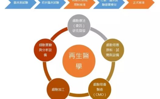 全球再生医疗市场规模达近百亿美元:日本有望成研发基地