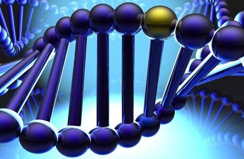 奠定国际地位:中国科学家打破非生命物质与生命界限
