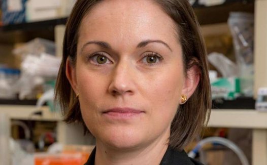 Nature：先天性免疫疗法CAR-T抗击癌症大获成功