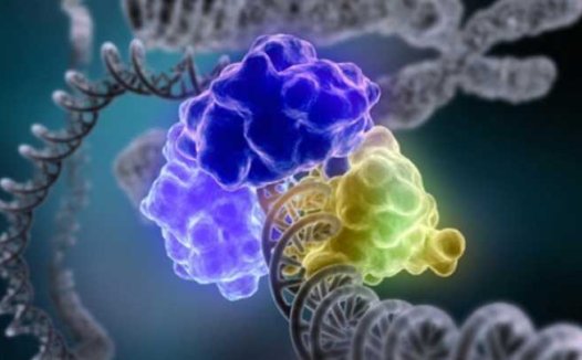 世界首创高通量检测新技术:可用于癌症无创早筛