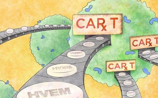 CAR-T如何提高实体瘤治疗的安全性