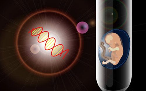 Science:剑桥大学发现胚胎也能人工造