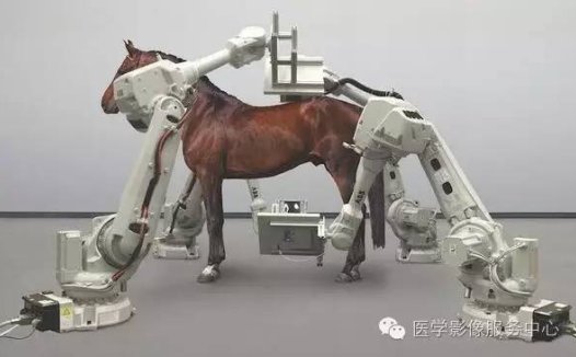 东芝研发出世界首台坐立式全身扫描CT机